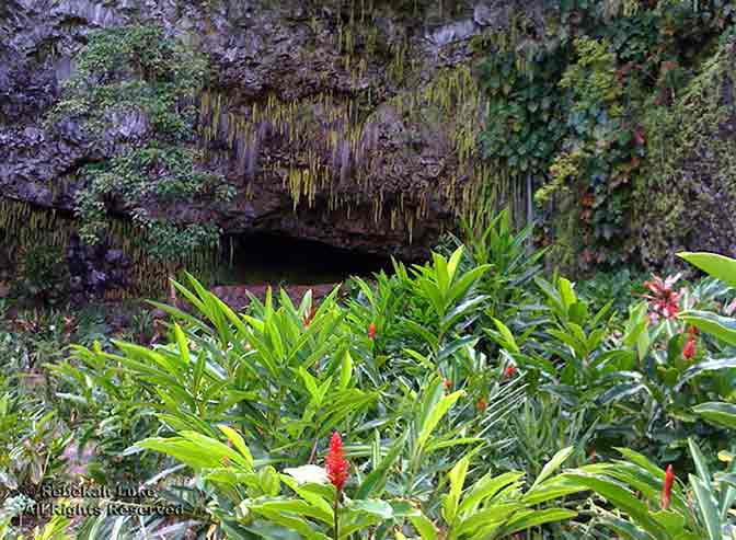 Fern Grotto